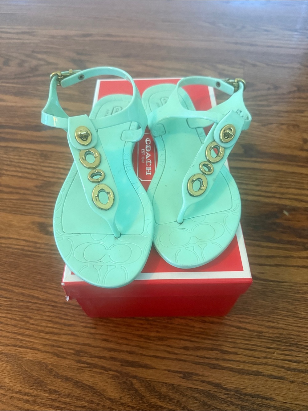 Coach Mint Green Jelly Thong Sandals with Gold-Tone Logo Accents
